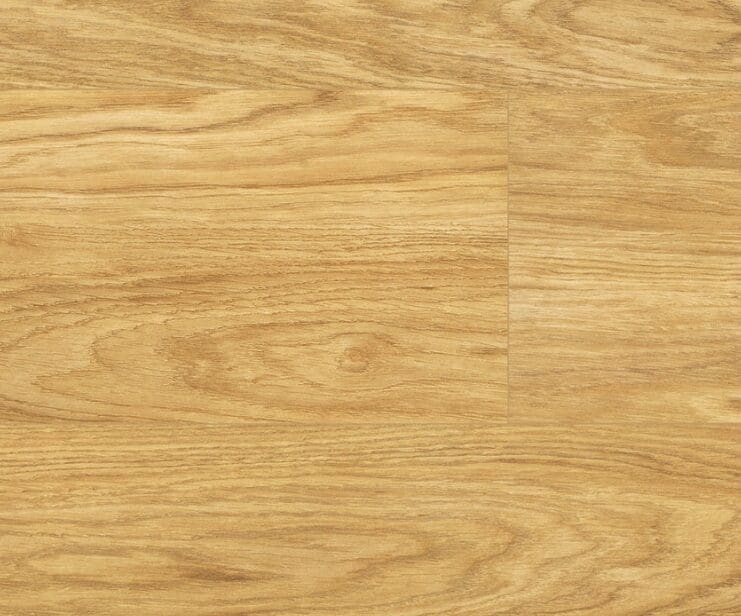 Movie 8mm + Hollywood Oak